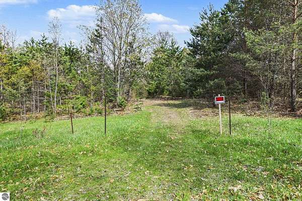29.5 Acres of Recreational Land for Sale in Harrietta, Michigan