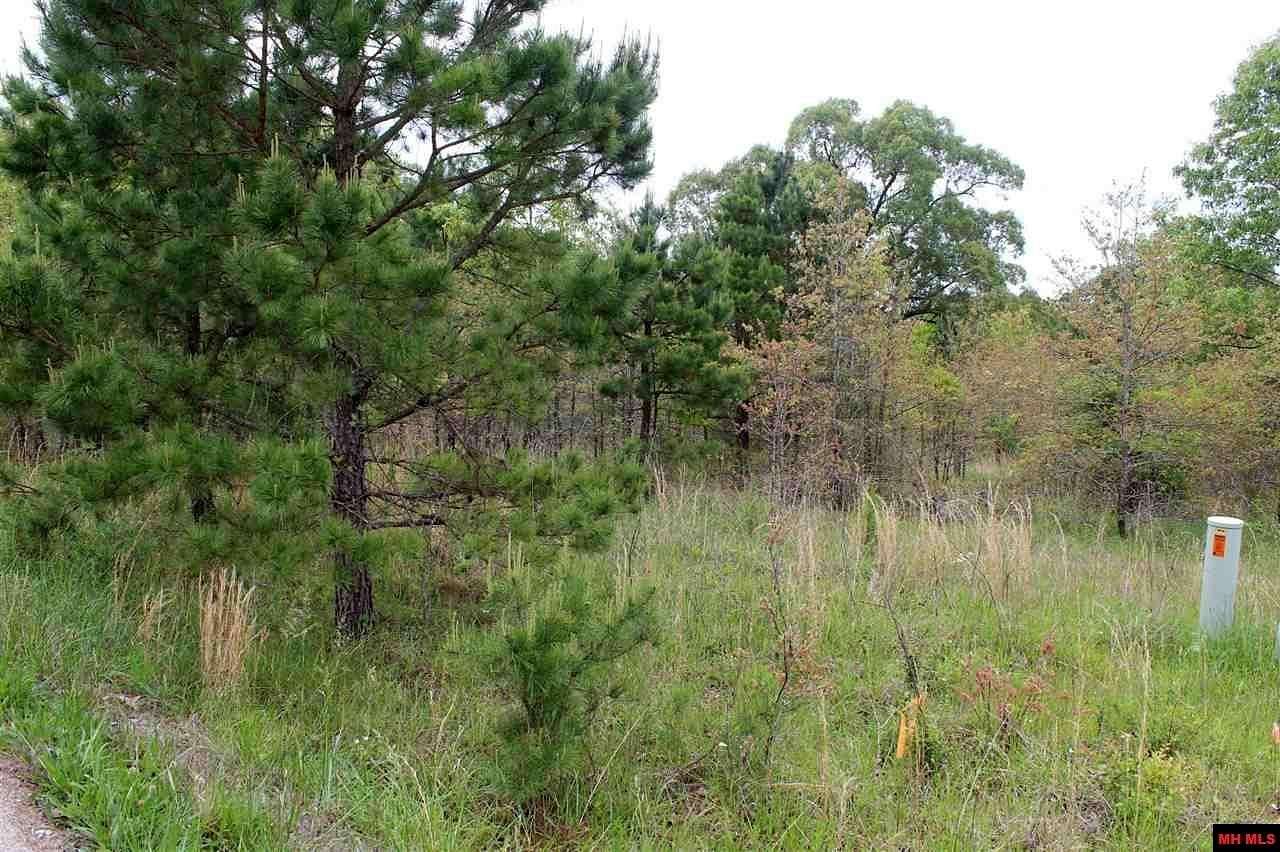 1 Acre of Land for Sale in Salesville, Arkansas