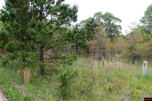 1 Acre of Land for Sale in Salesville, Arkansas