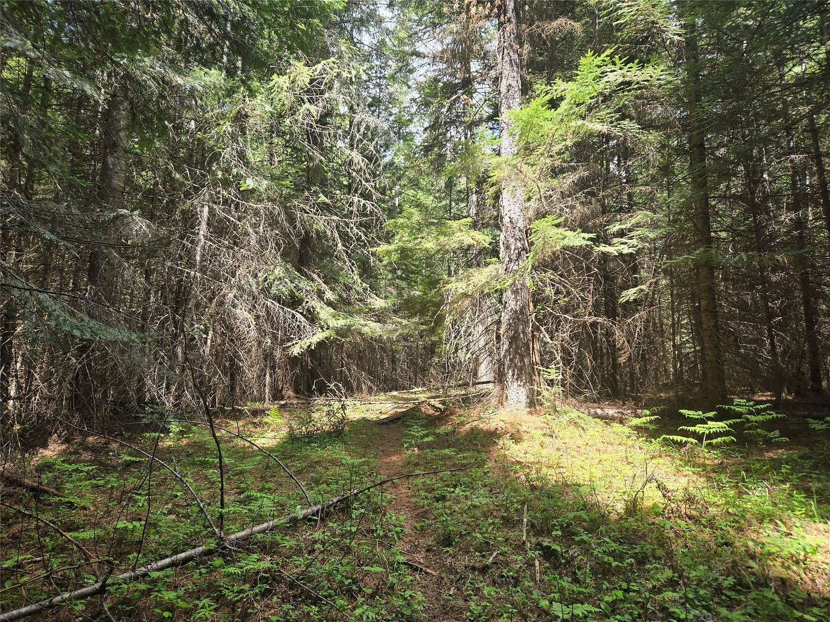 5.61 Acres of Land for Sale in Heron, Montana