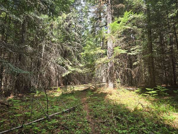 5.61 Acres of Land for Sale in Heron, Montana