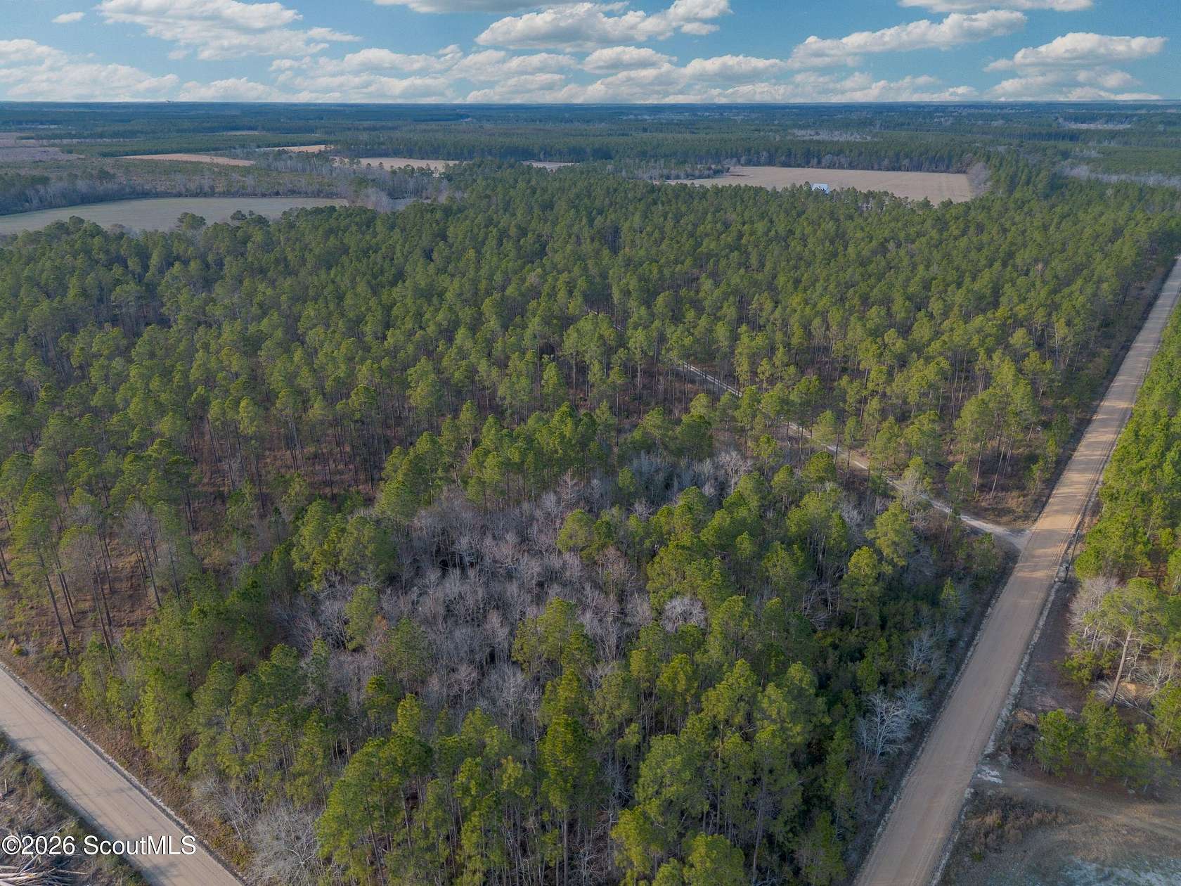 125 Acres of Land for Sale in Odum, Georgia