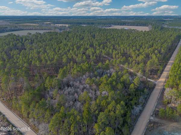 125 Acres of Land for Sale in Odum, Georgia