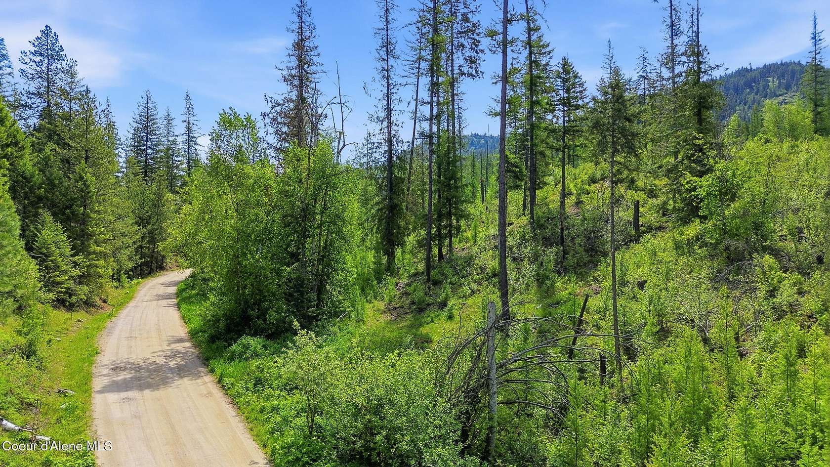 3.18 Acres of Residential Land for Sale in Sagle, Idaho