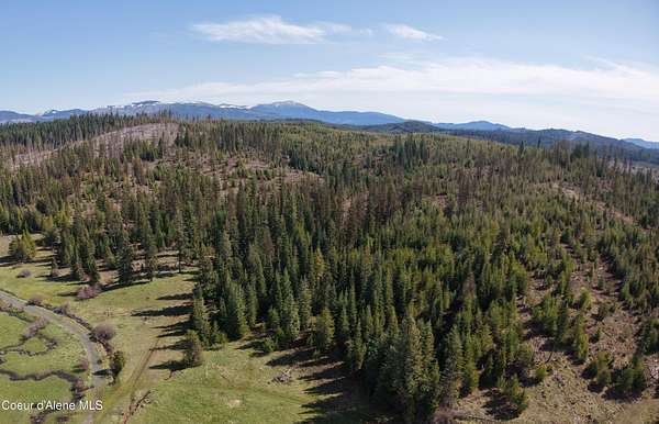 100 Acres of Recreational Land for Sale in Elk River, Idaho