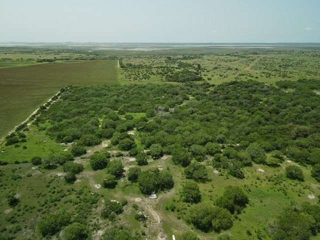 41.9 Acres of Recreational Land for Sale in Odem, Texas