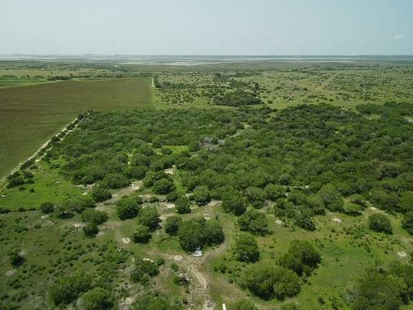 41.9 Acres of Recreational Land for Sale in Odem, Texas