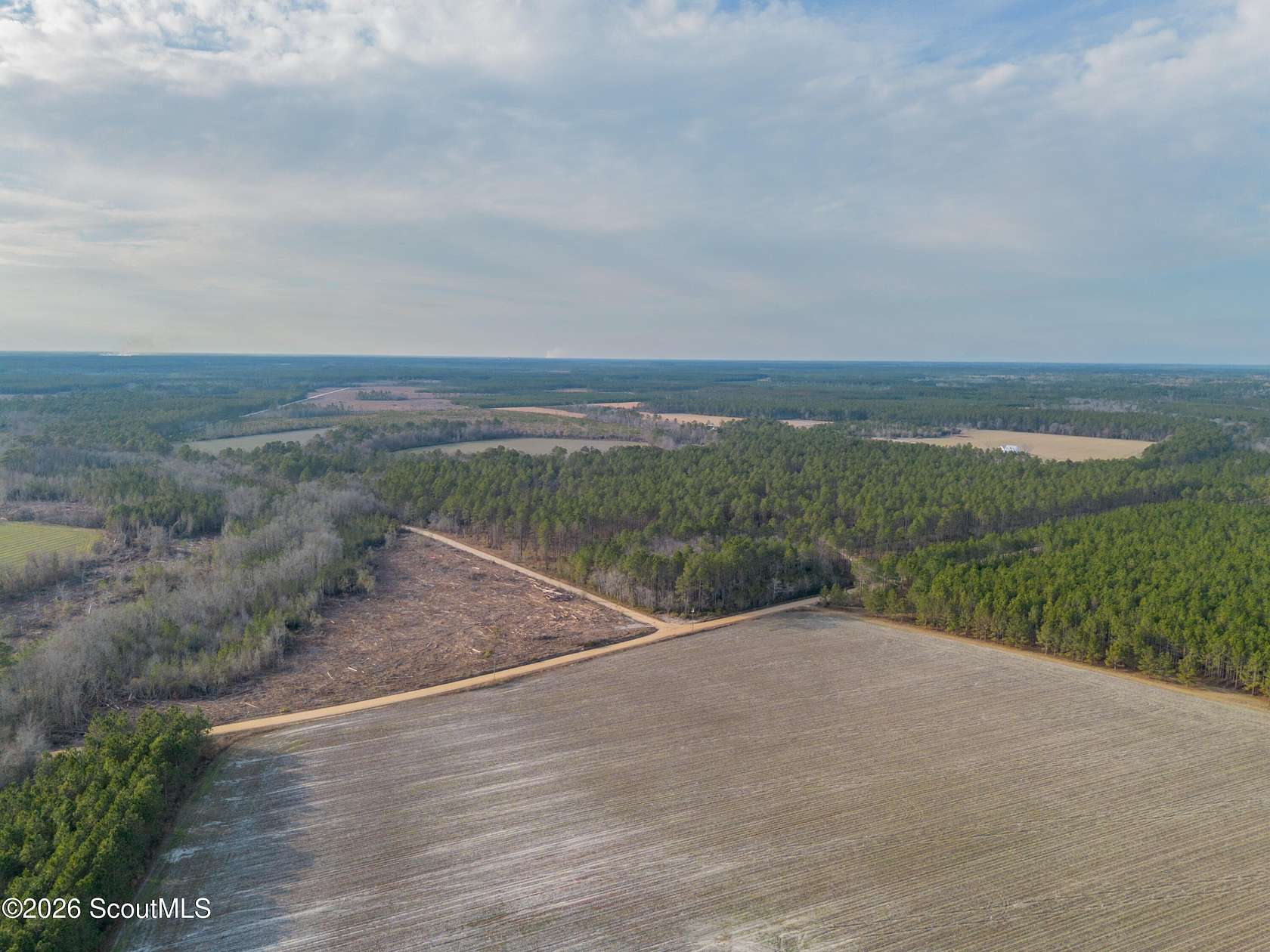 230 Acres of Land for Sale in Odum, Georgia