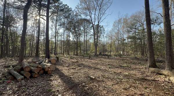 4 Acres of Residential Land for Sale in Johns Island, South Carolina