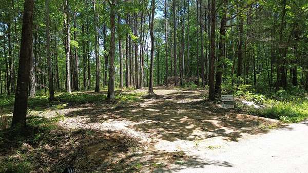 25 Acres of Land for Sale in Holladay, Tennessee