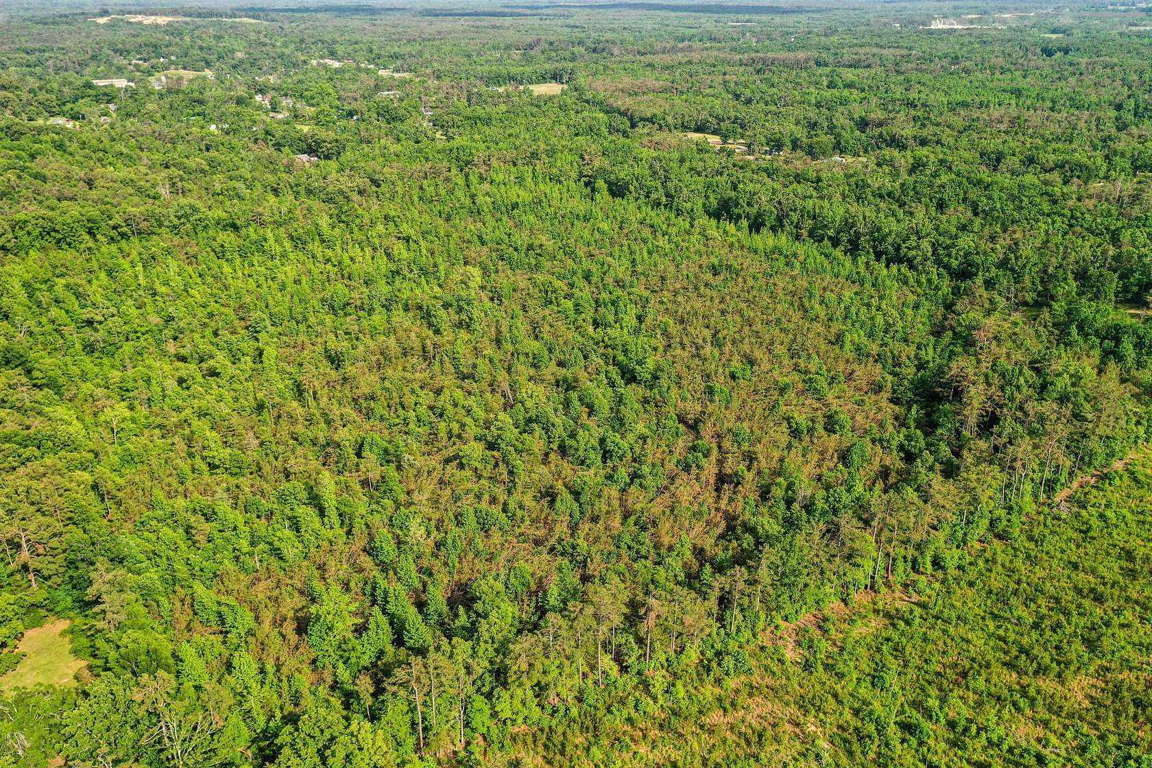 43 Acres of Recreational Land for Sale in Blue Mountain, Mississippi