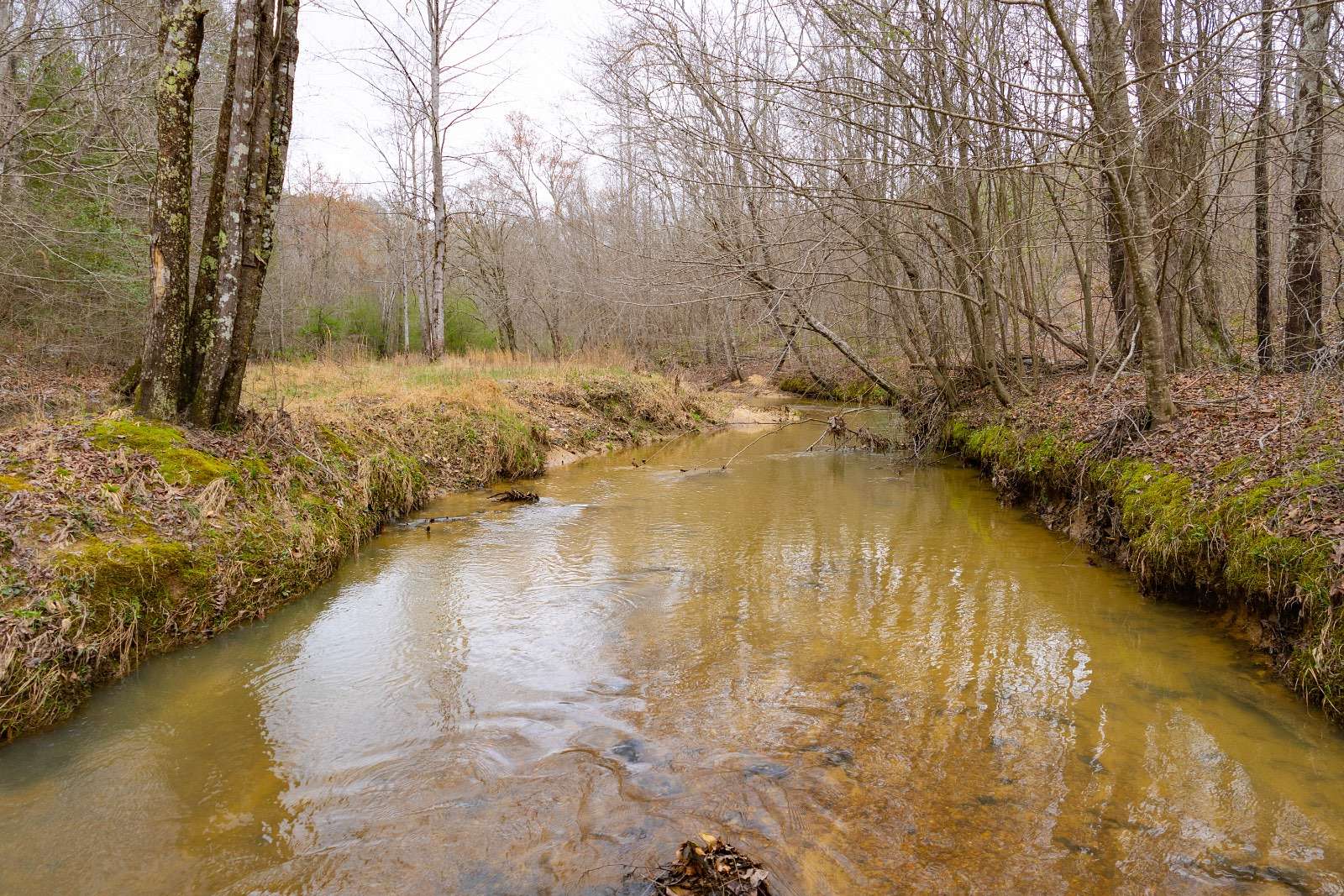 290 Acres of Recreational Land for Sale in Haleyville, Alabama