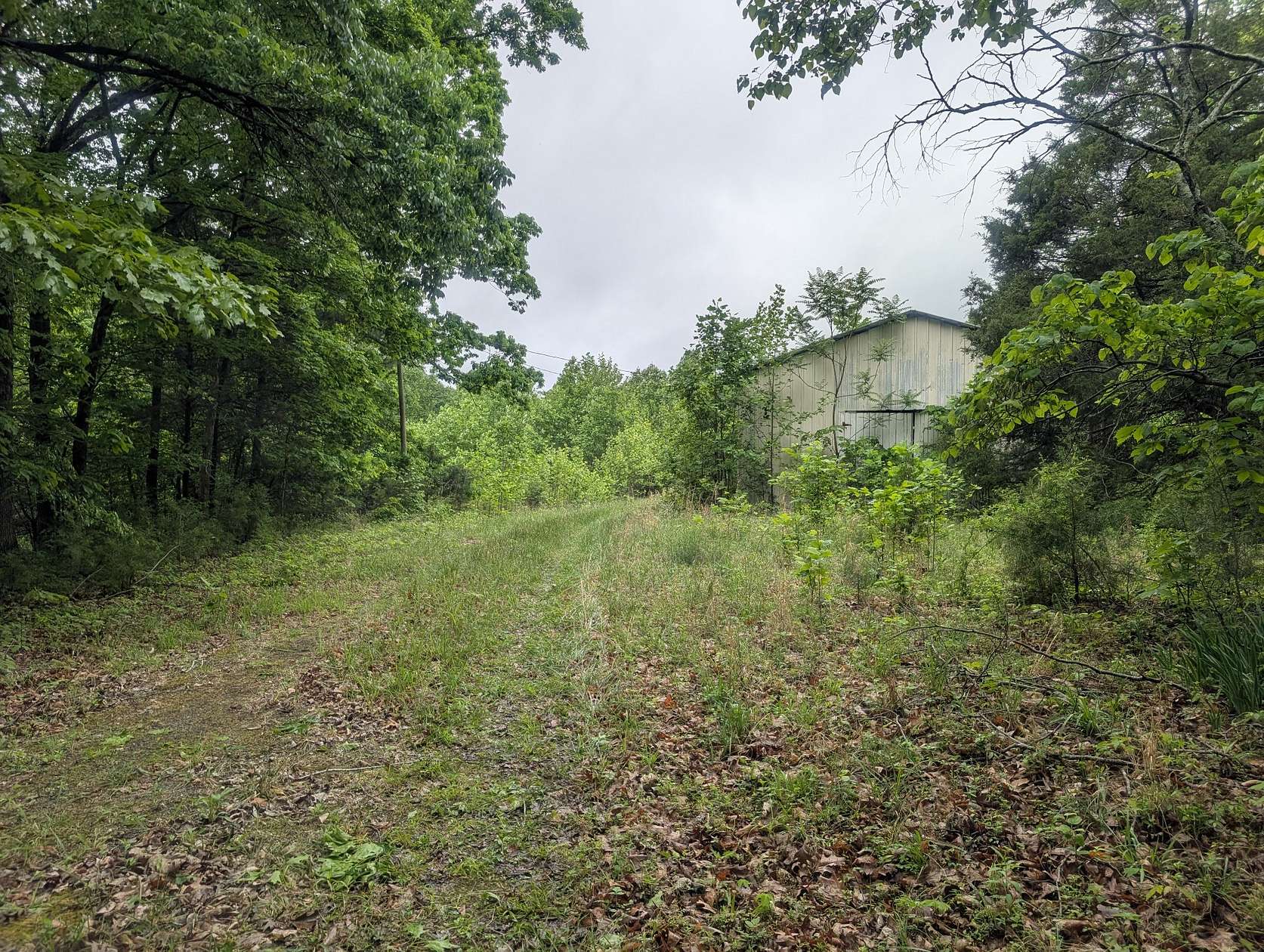 64.2 Acres of Land for Sale in Lafayette, Tennessee