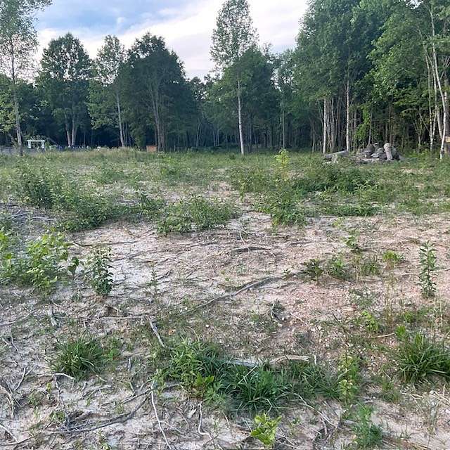 5 Acres of Residential Land for Sale in McMinnville, Tennessee