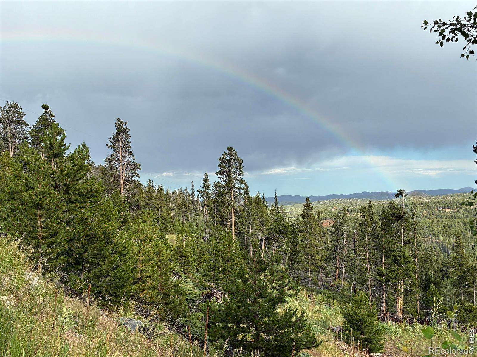 35.3 Acres of Recreational & Residential Land for Sale in Red Feather Lakes, Colorado