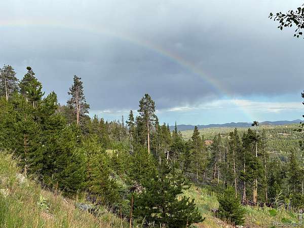 35.3 Acres of Recreational Land for Sale in Red Feather Lakes, Colorado