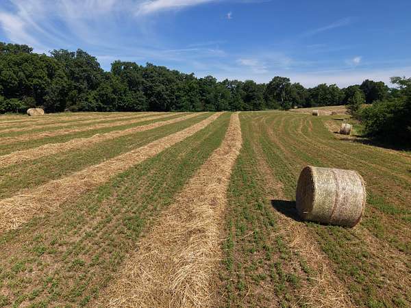 187 Acres of Improved Land for Sale in Campbellsburg, Kentucky