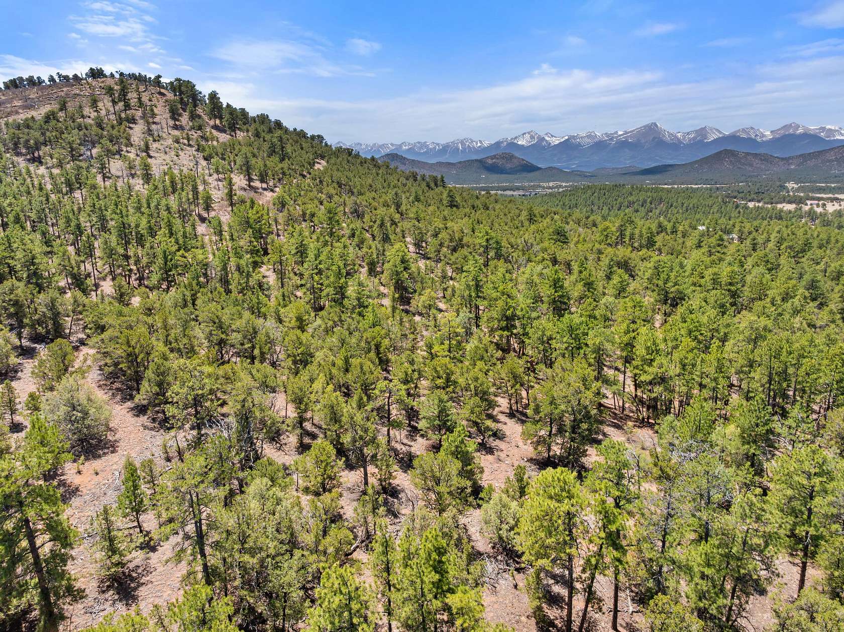 40 Acres of Land for Sale in Cotopaxi, Colorado