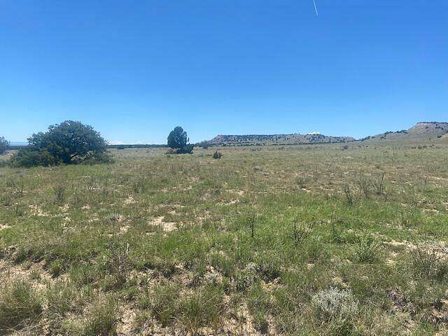 36 Acres of Land for Sale in Model, Colorado