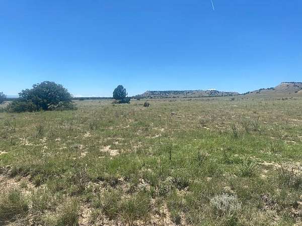 36 Acres of Land for Sale in Model, Colorado