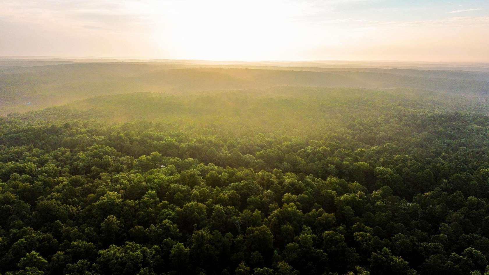 24.6 Acres of Recreational Land for Sale in Birch Tree, Missouri