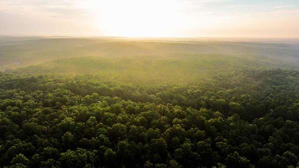 24.6 Acres of Recreational Land for Sale in Birch Tree, Missouri