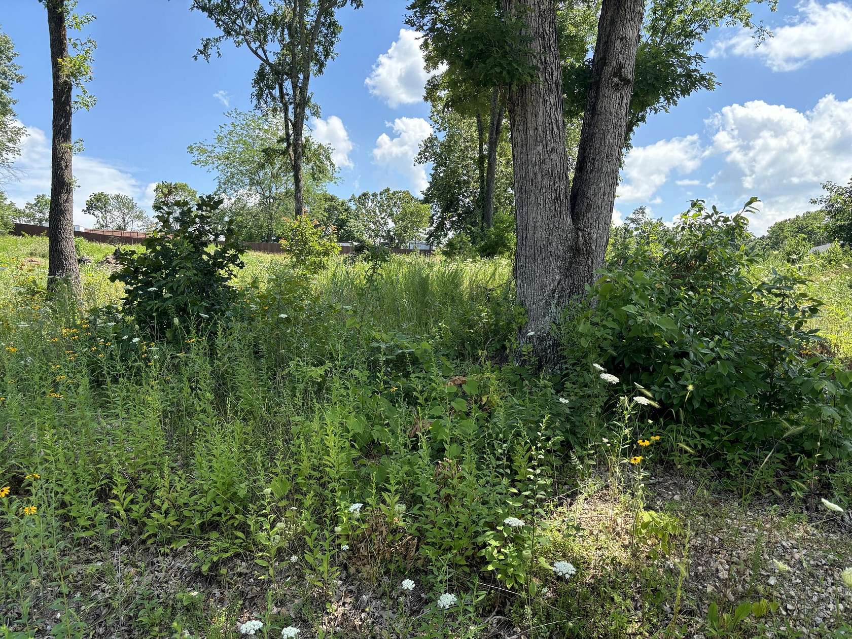 0.85 Acres of Residential Land for Sale in Shell Knob, Missouri