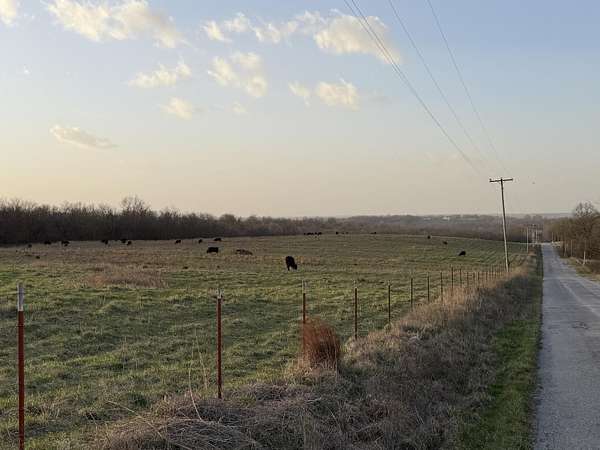 321 Acres of Recreational Land for Sale in South Greenfield, Missouri