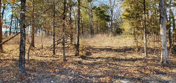 0.48 Acres of Residential Land for Sale in Kimberling City, Missouri