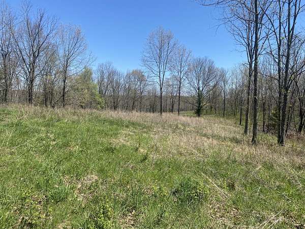 79 Acres of Recreational Land for Sale in Highlandville, Missouri
