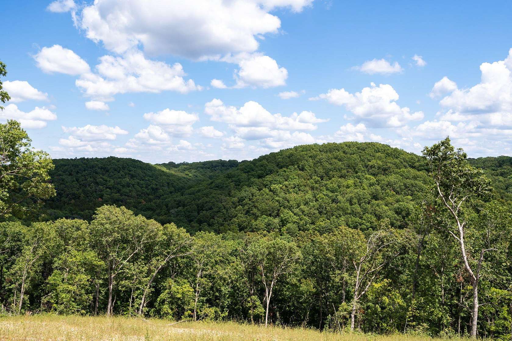 15.4 Acres of Land for Sale in Galena, Missouri