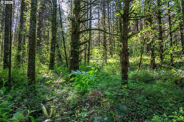 5 Acres of Residential Land for Sale in Cornelius, Oregon