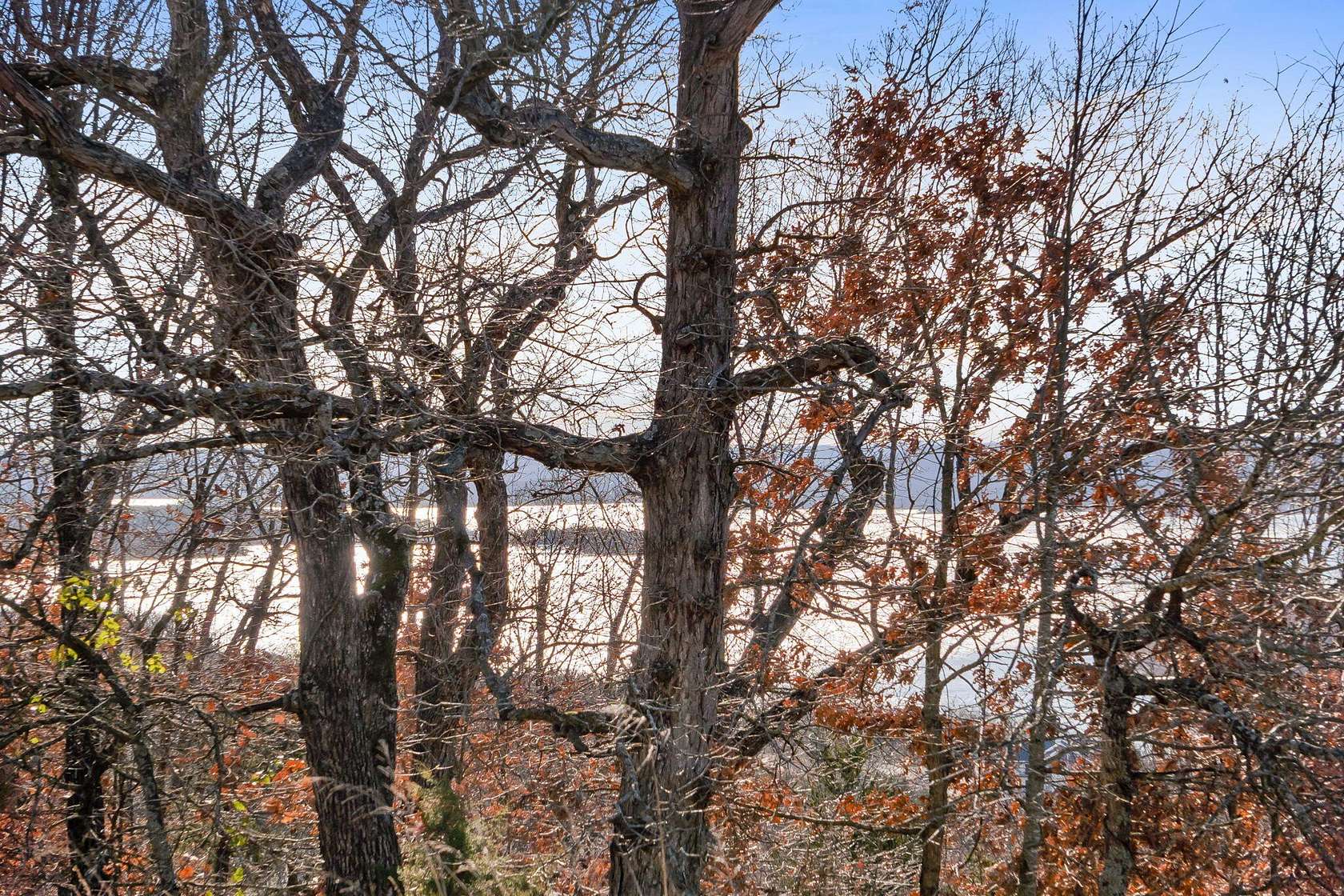 0.55 Acres of Land for Sale in Branson, Missouri
