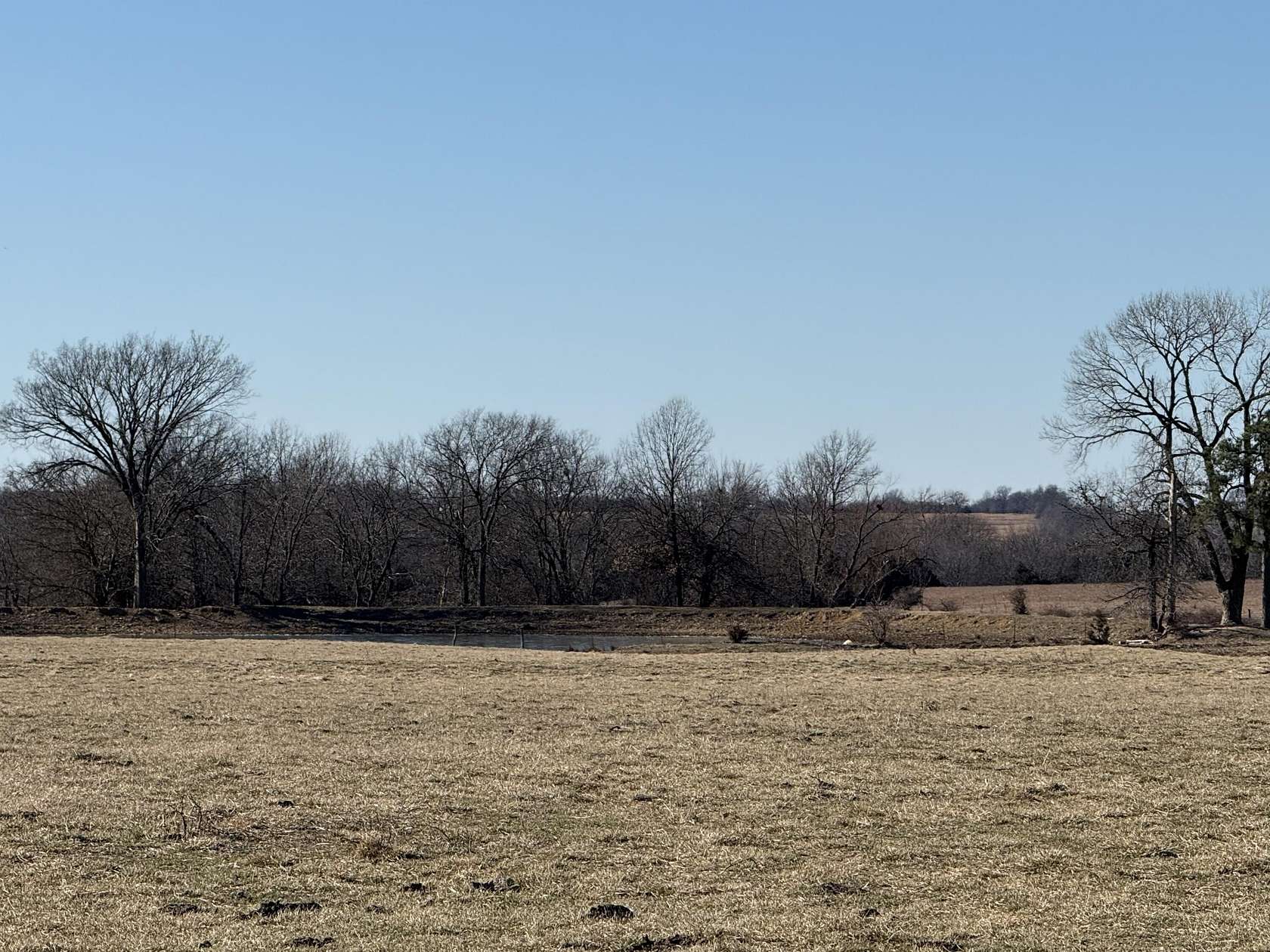 40 Acres of Land for Sale in Lamar, Missouri