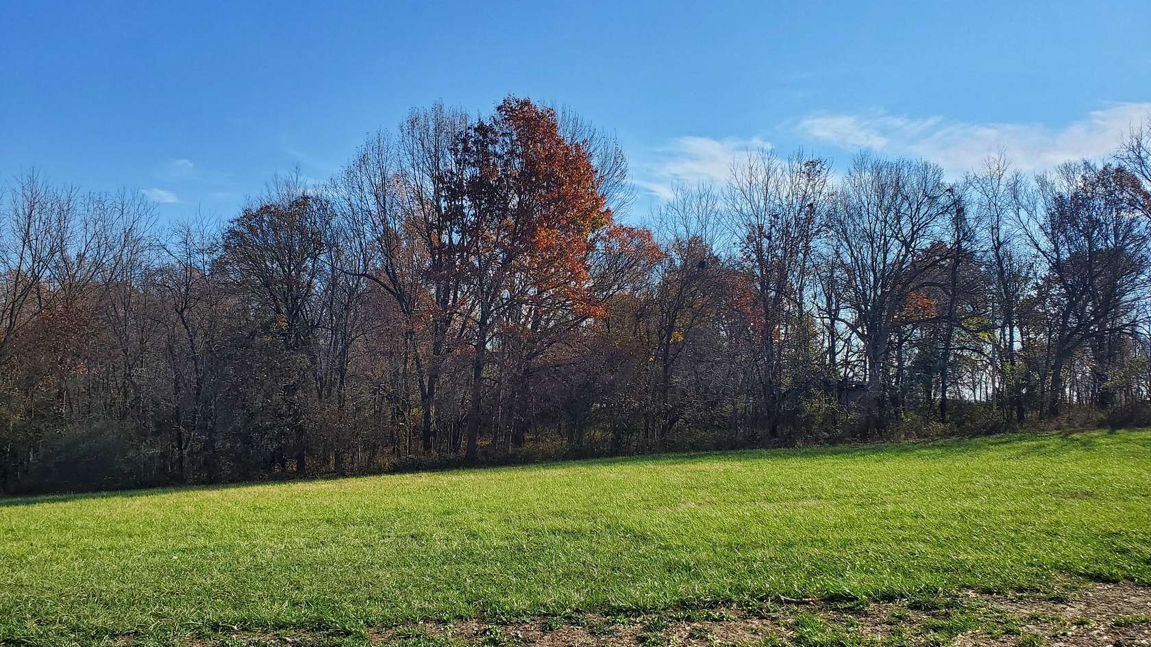 3 Acres of Residential Land for Sale in Republic, Missouri