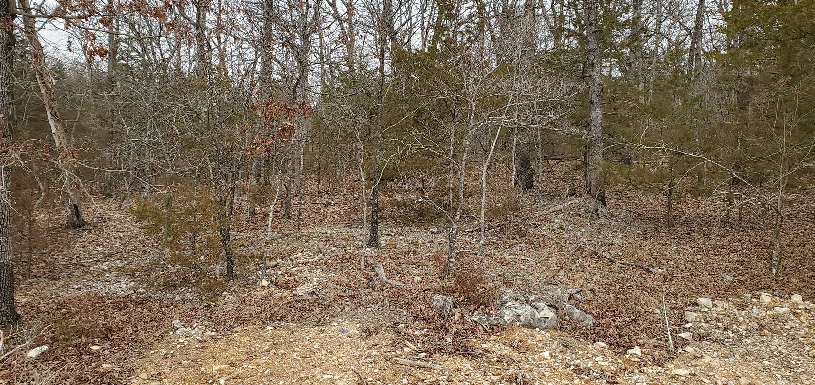 0.54 Acres of Residential Land for Sale in Kimberling City, Missouri