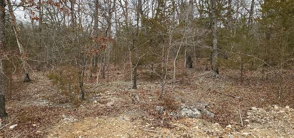 0.54 Acres of Residential Land for Sale in Kimberling City, Missouri
