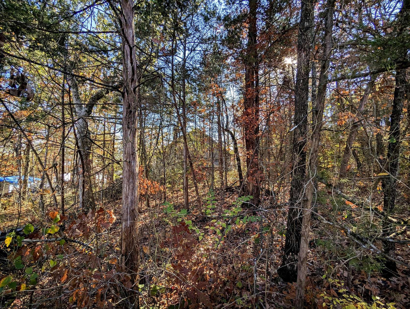 0.28 Acres of Residential Land for Sale in Merriam Woods, Missouri