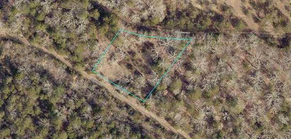 0.3 Acres of Land for Sale in Branson, Missouri