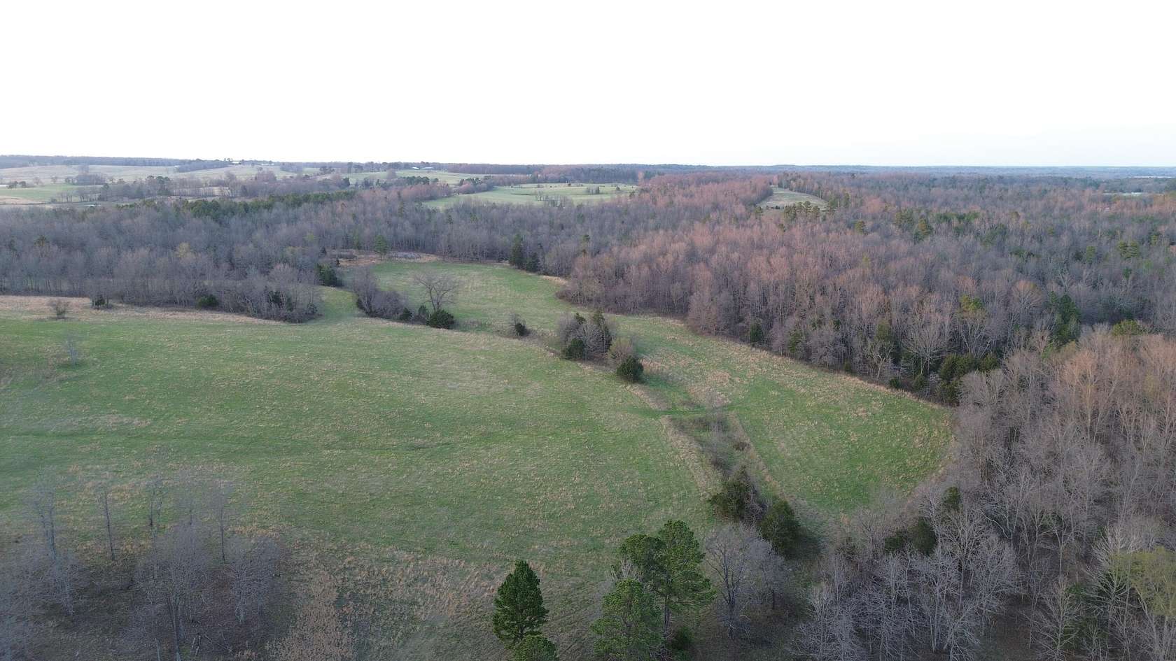 66 Acres of Land for Sale in Summersville, Missouri