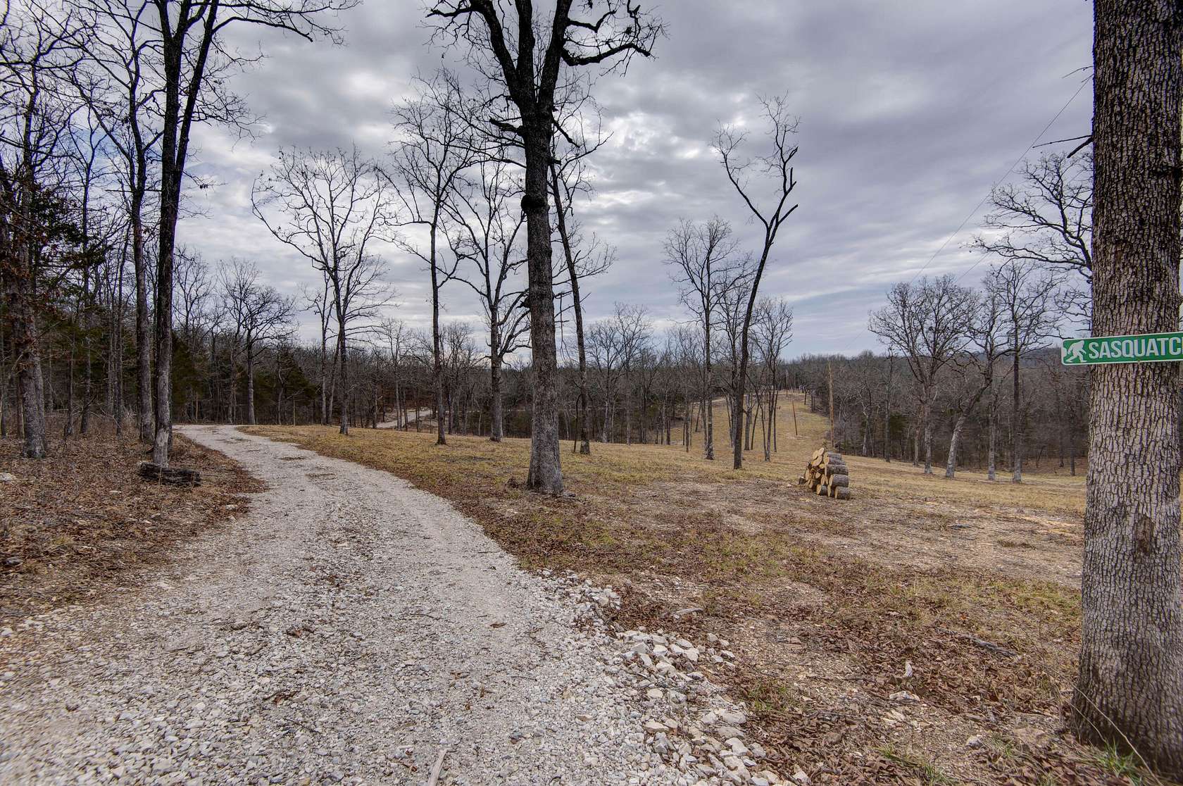 40.8 Acres of Recreational & Residential Land for Sale in Cedarcreek, Missouri
