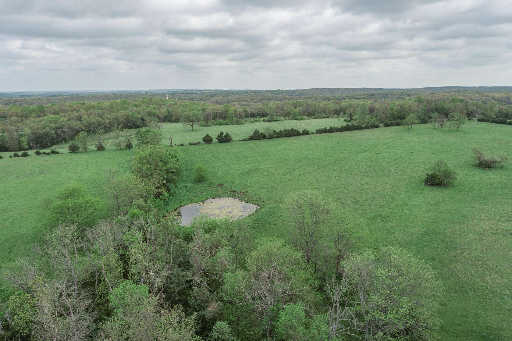 68.1 Acres of Recreational Land for Sale in Bolivar, Missouri