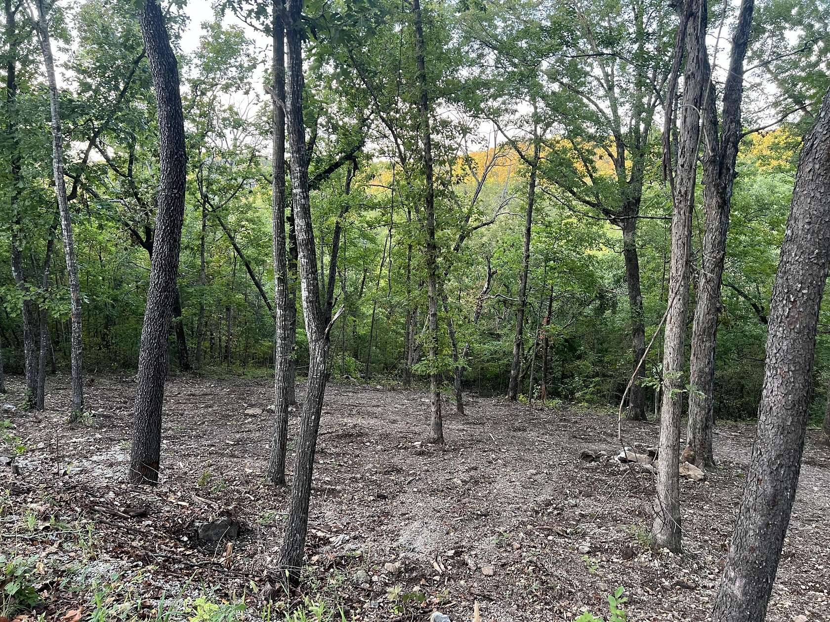 0.43 Acres of Residential Land for Sale in Ridgedale, Missouri