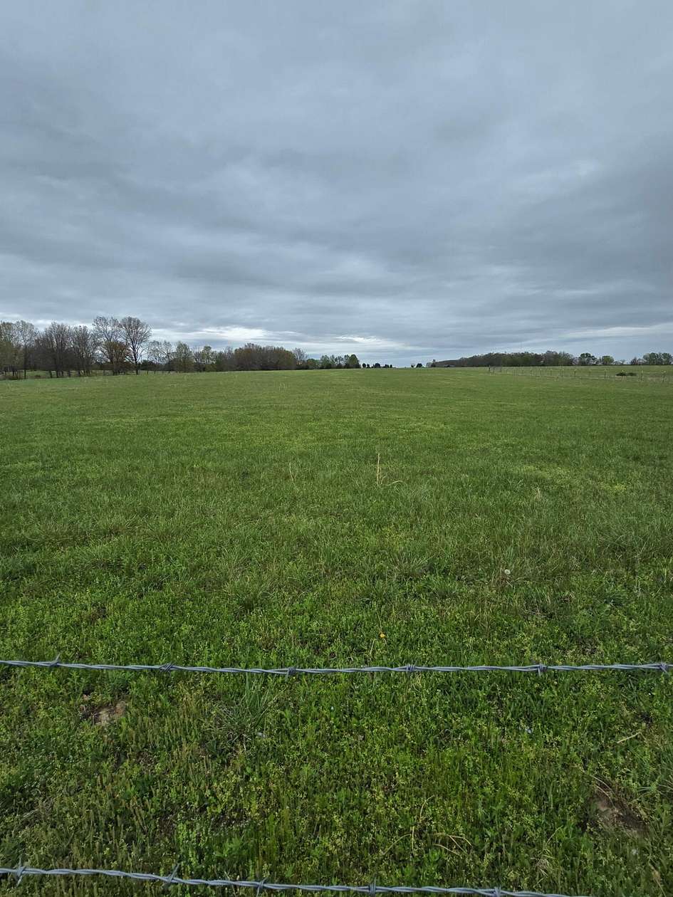 32.2 Acres of Land for Sale in Rogersville, Missouri