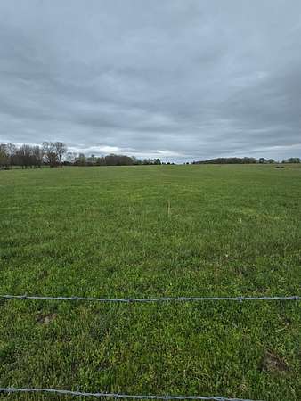 32.2 Acres of Land for Sale in Rogersville, Missouri