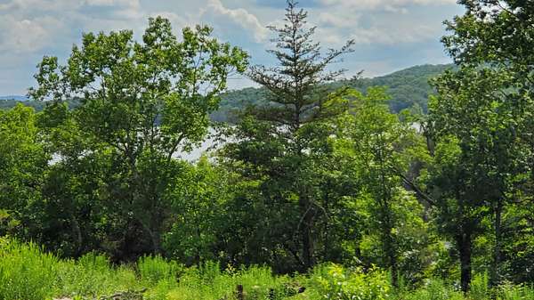 0.48 Acres of Residential Land for Sale in Kimberling City, Missouri