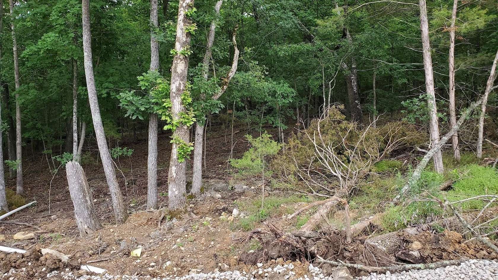 0.5 Acres of Residential Land for Sale in Kimberling City, Missouri