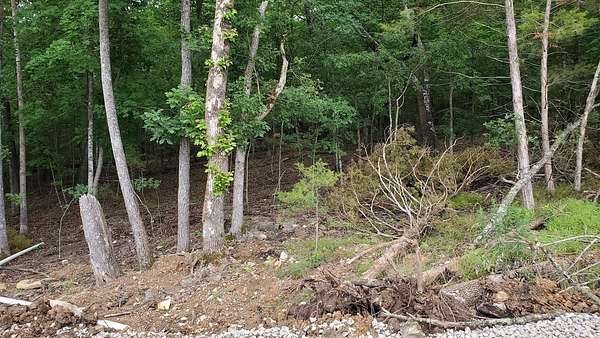 0.5 Acres of Residential Land for Sale in Kimberling City, Missouri