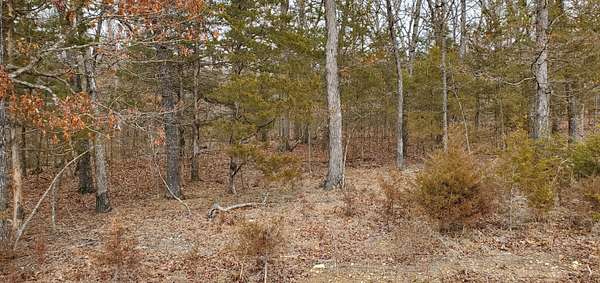 0.48 Acres of Residential Land for Sale in Kimberling City, Missouri