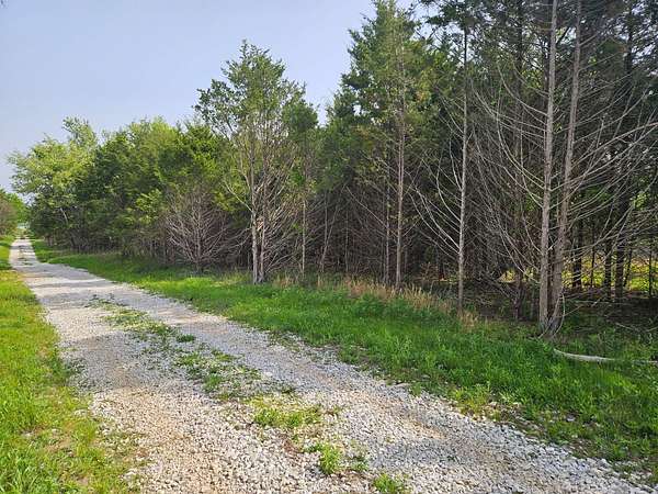 5 Acres of Residential Land for Sale in Rogersville, Missouri